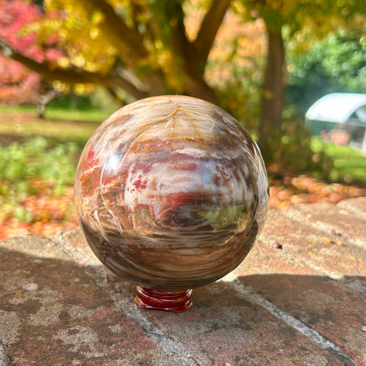 Fossilised Wood Sphere
