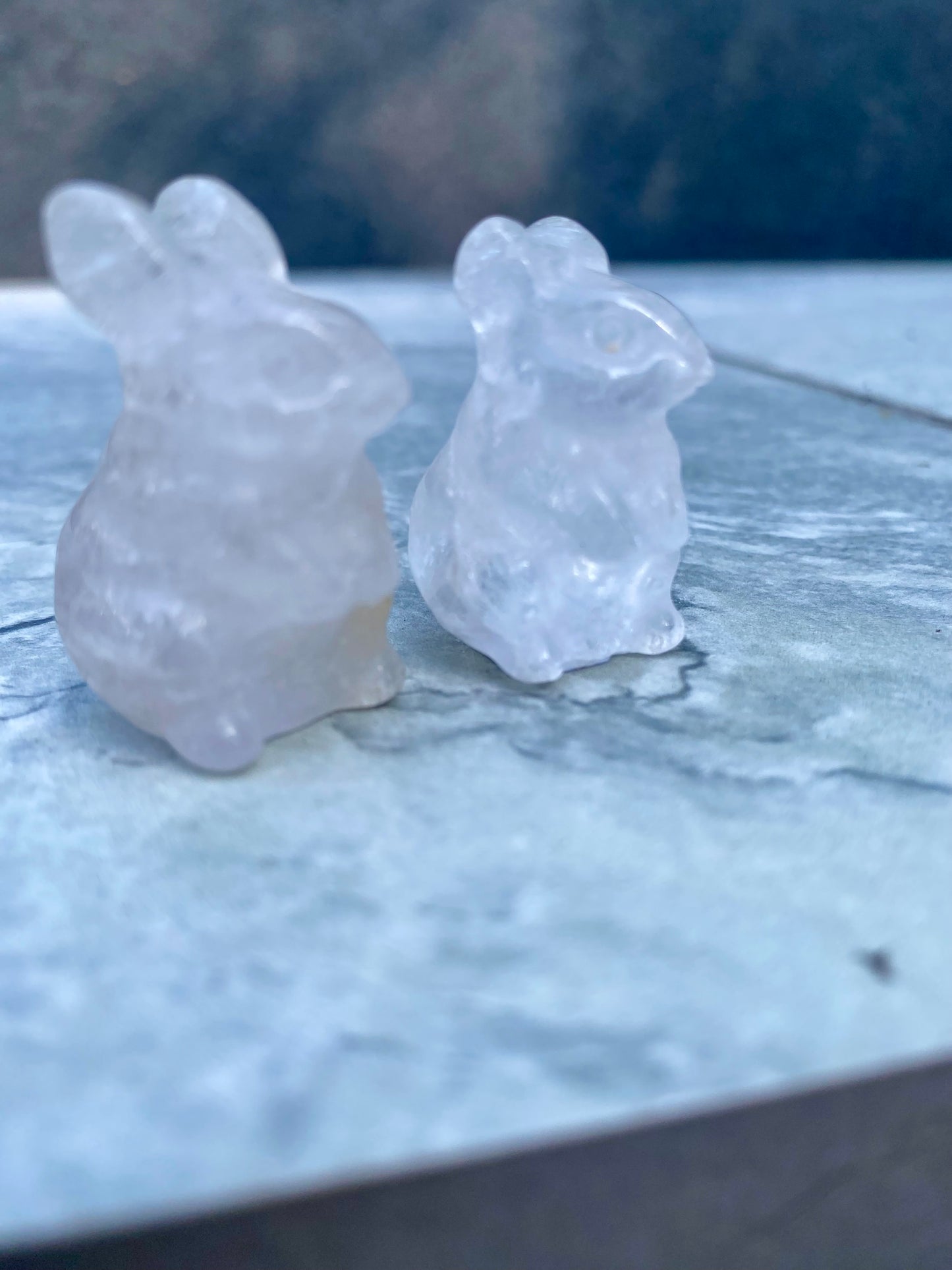 Rabbit Carvings