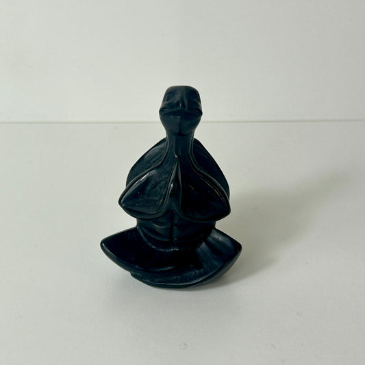 Meditating Turtle Carvings