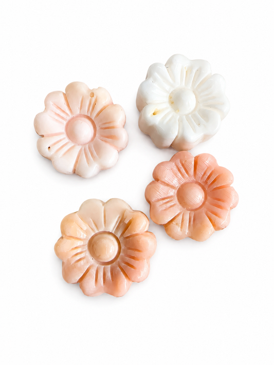 Quince Shell Mini Flowers