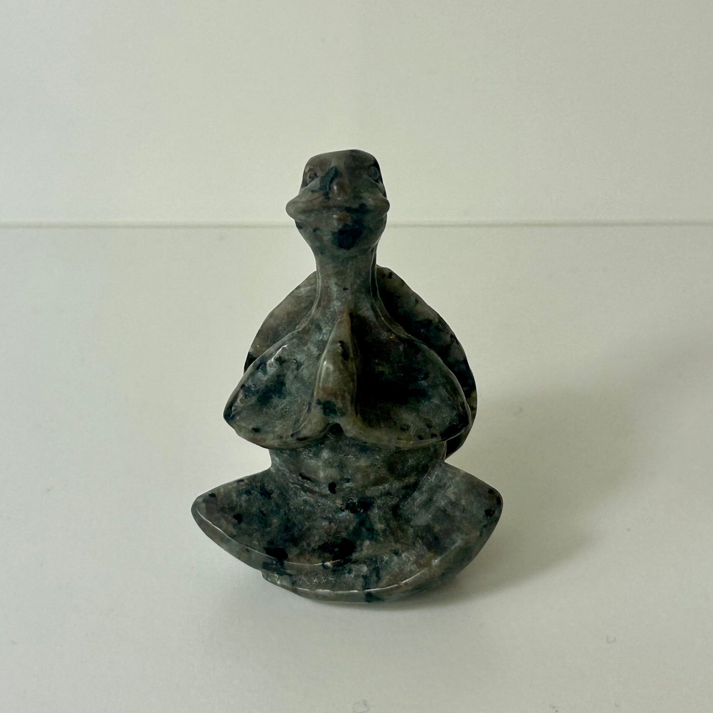 Meditating Turtle Carvings