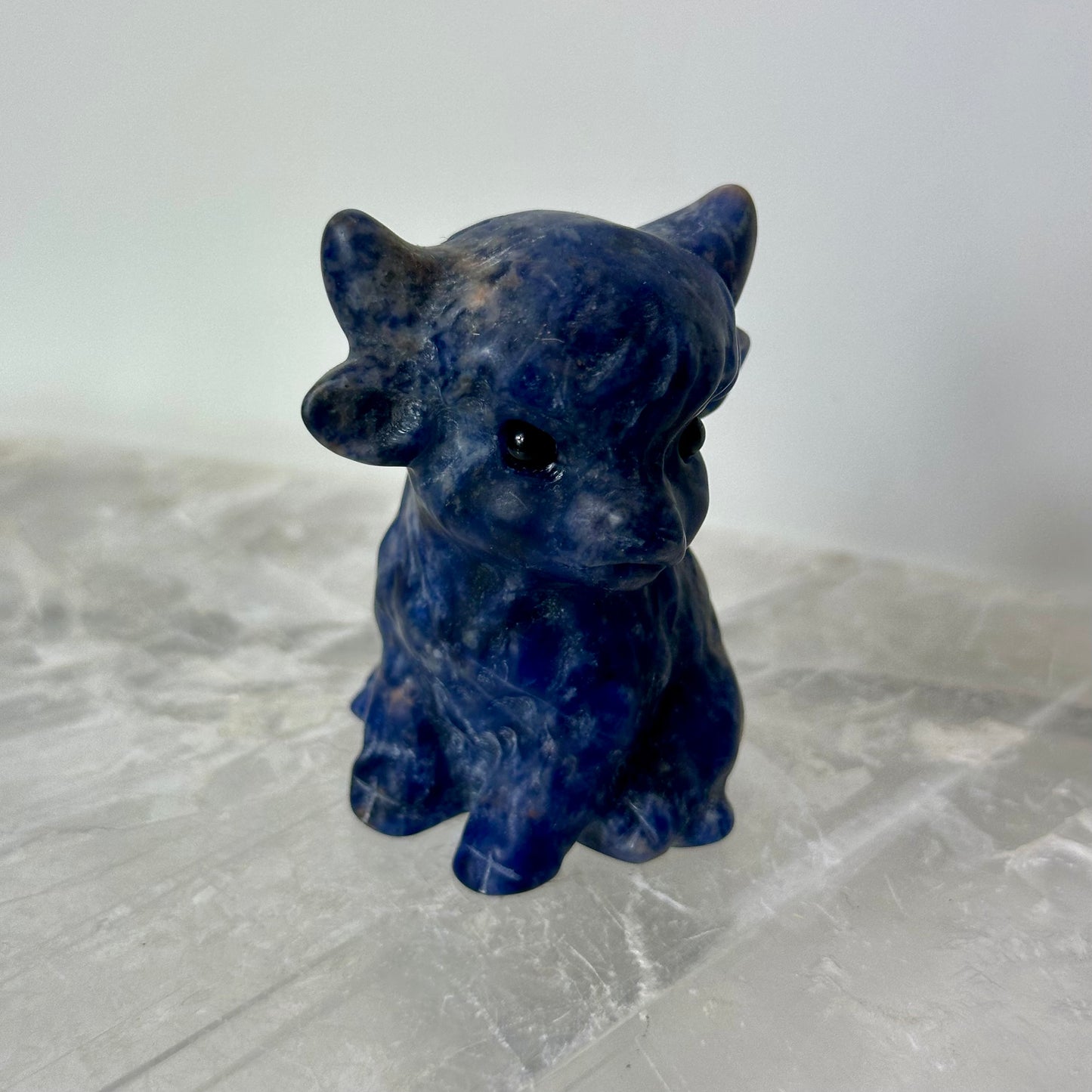 Sodalite Highland Cow