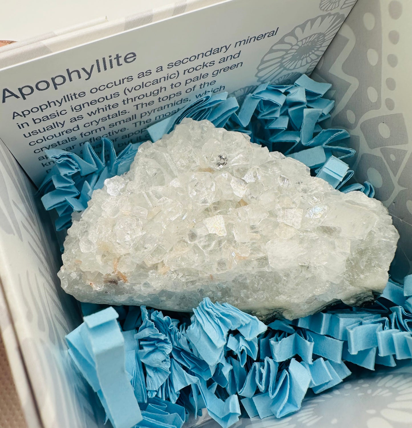 Apophylite Cluster in Gift Box