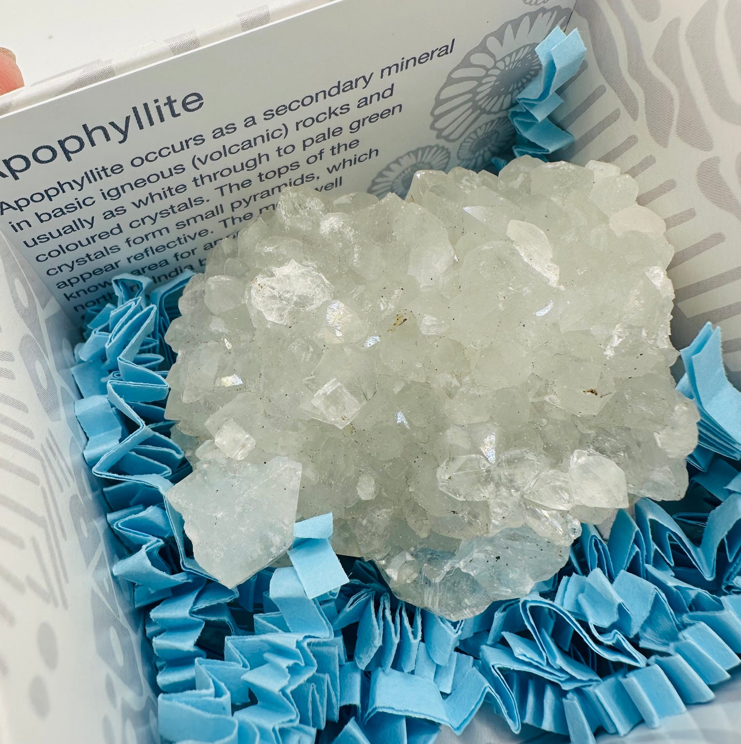 Apophylite Cluster in Gift Box