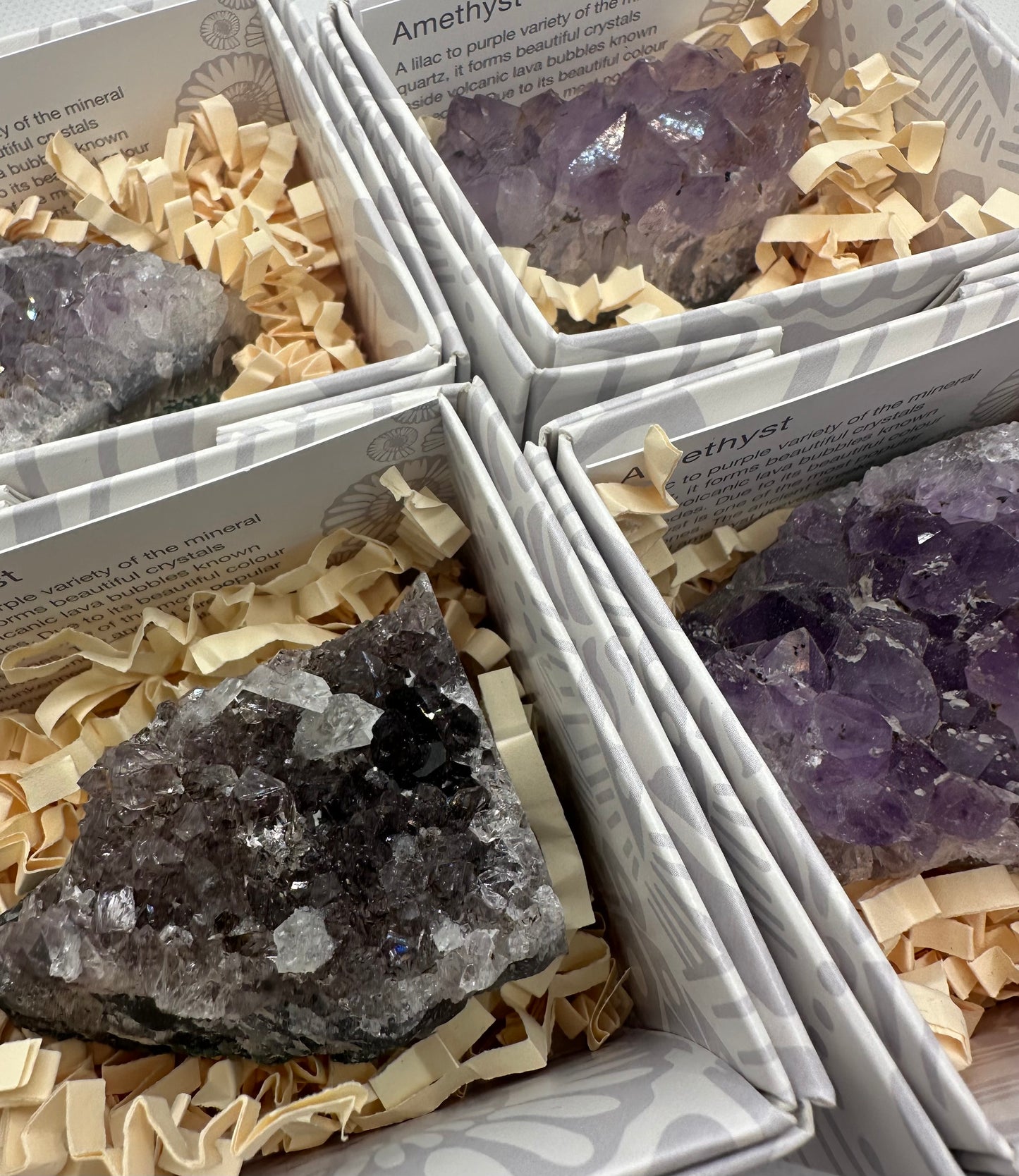 Amethyst Clusters in Gift Box