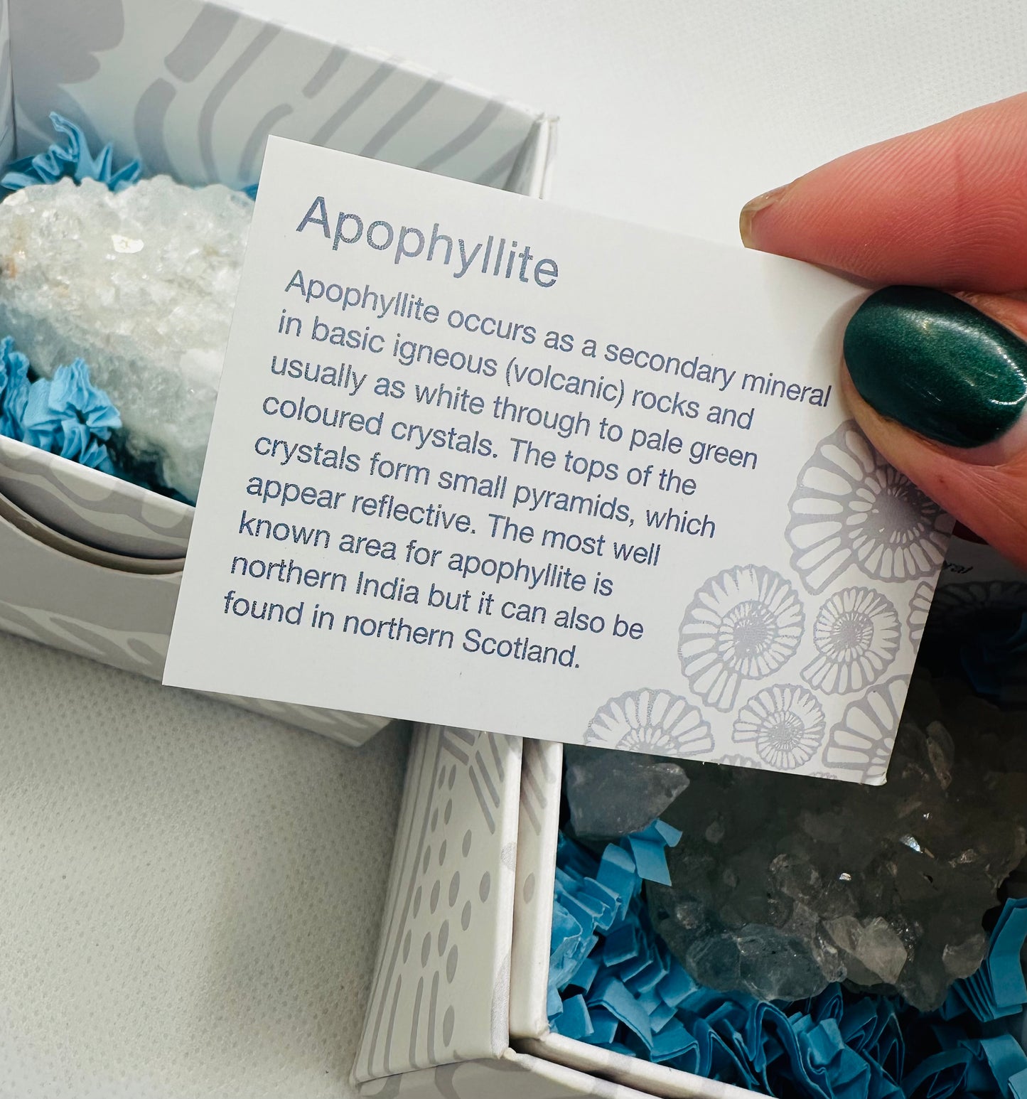 Apophylite Cluster in Gift Box