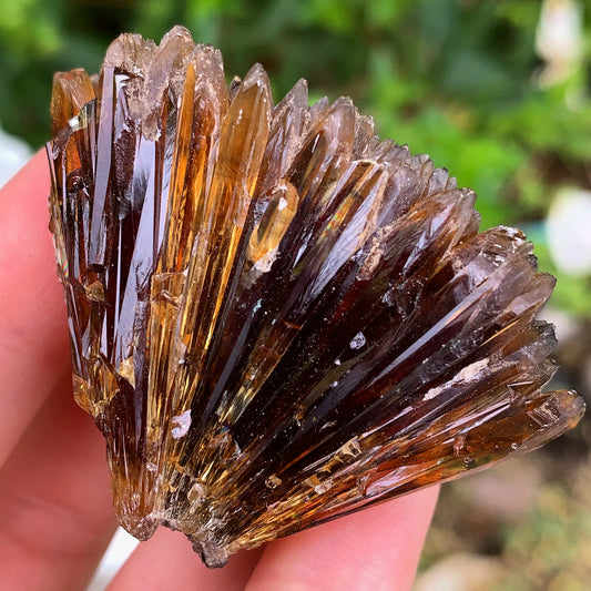 Amber Calcite Cluster