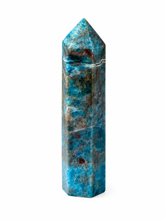 Blue Appetite Tower