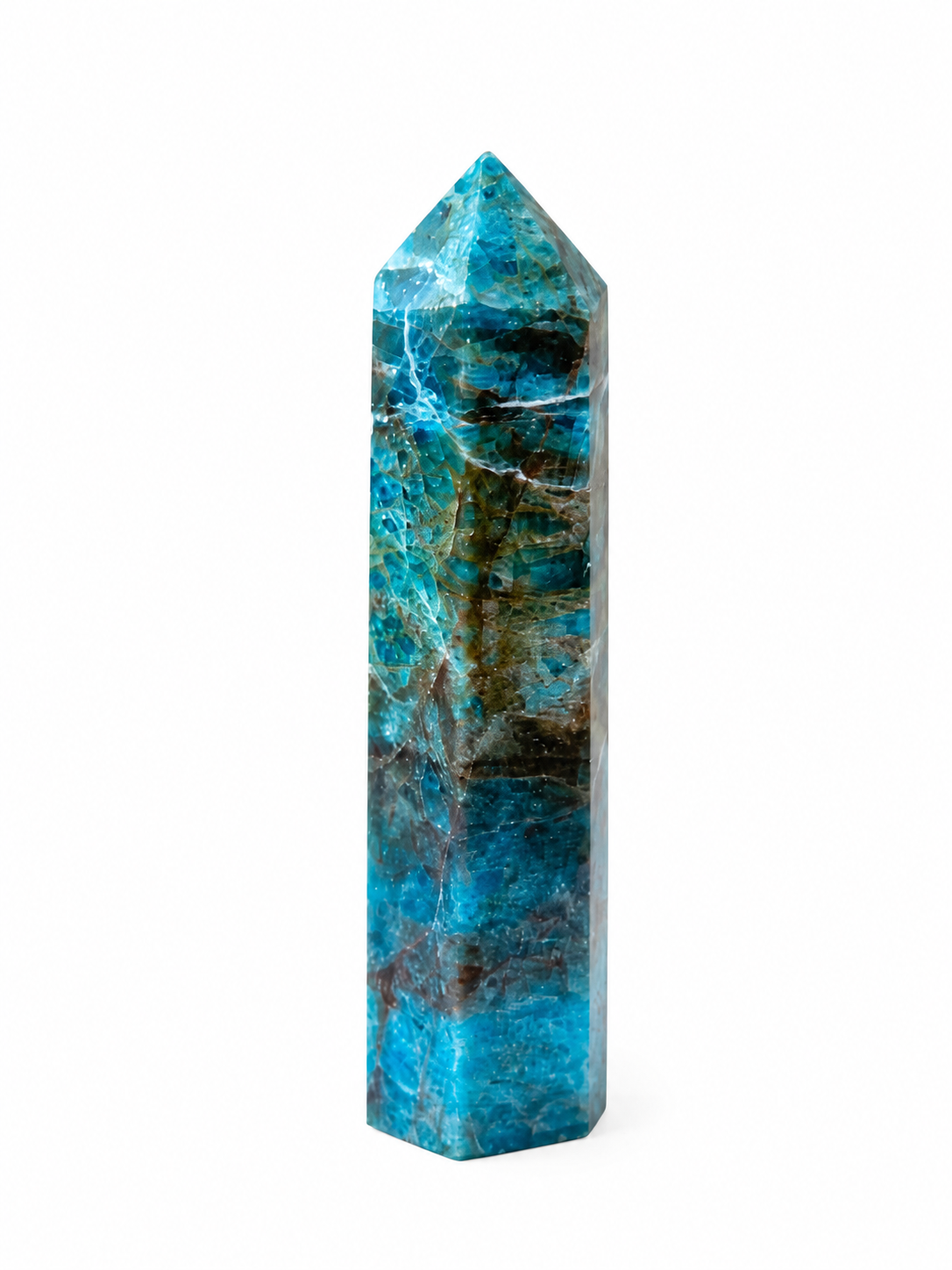 Blue Appetite Tower