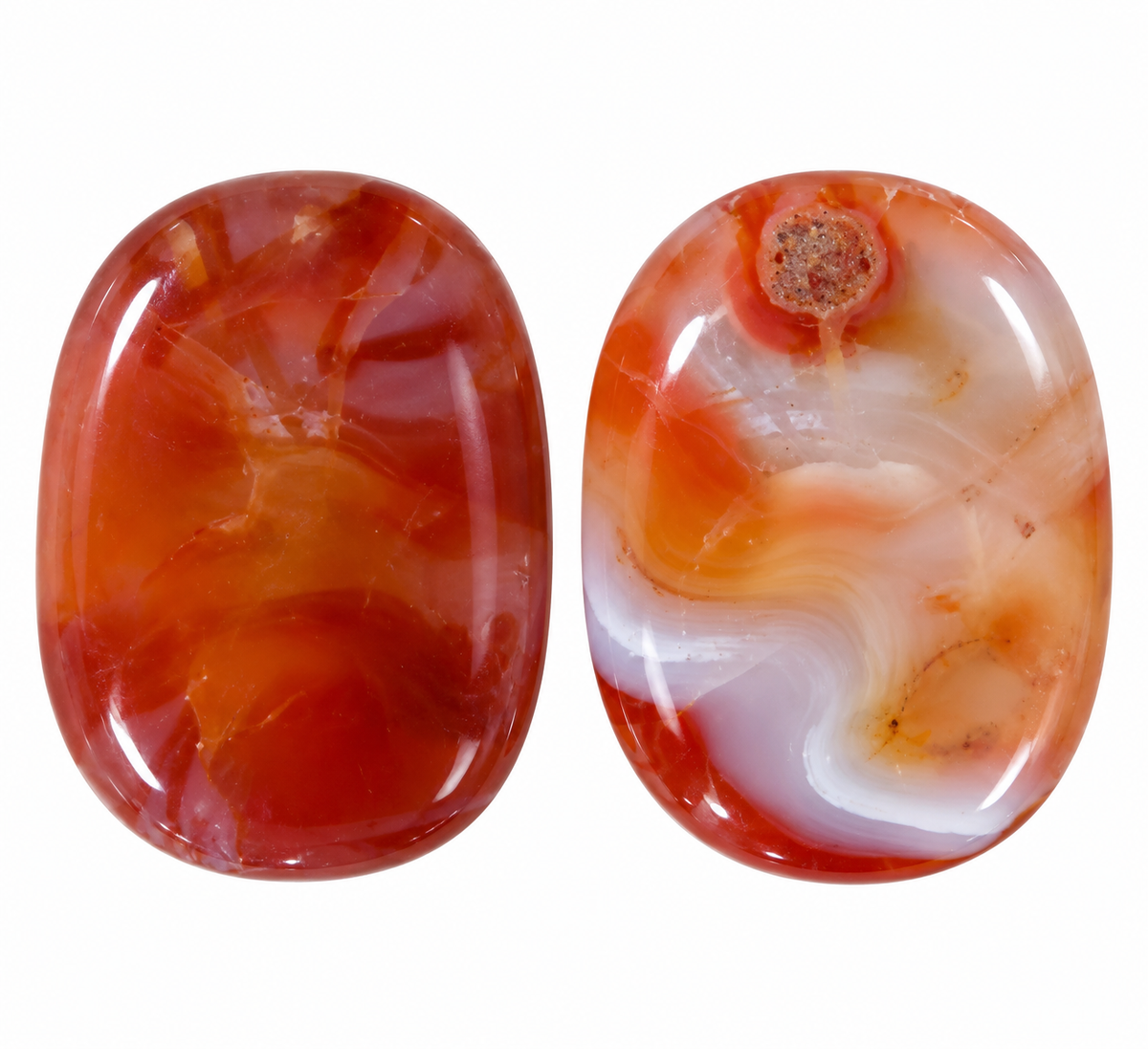 Carnelian Palms
