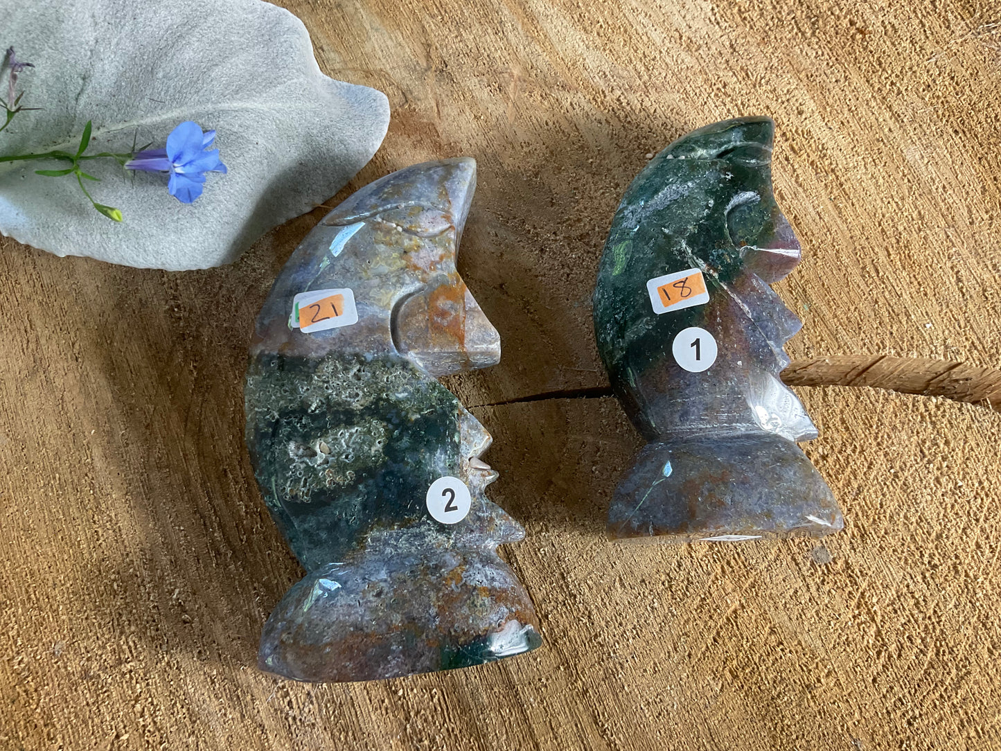 Ocean Jasper Moons