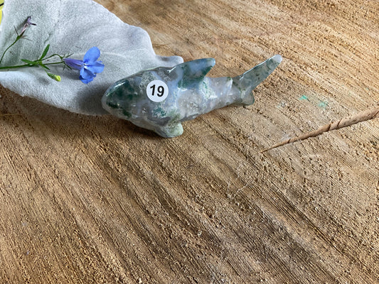 Moss Agate Shark (8cm)