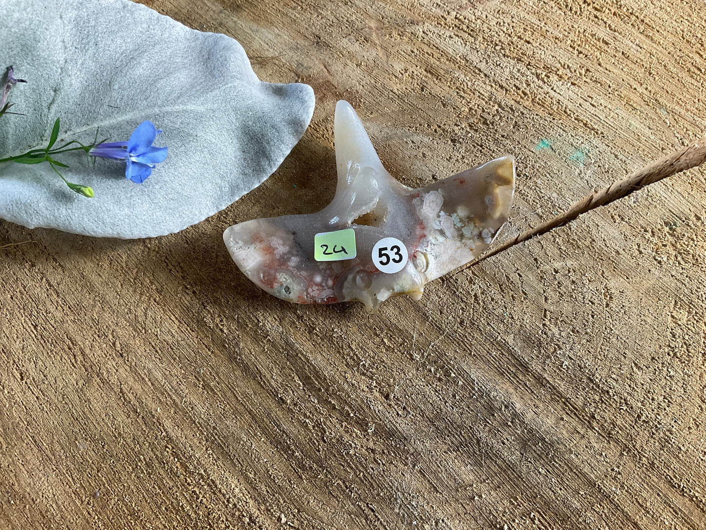 Flower Agate Stingray (8cm)