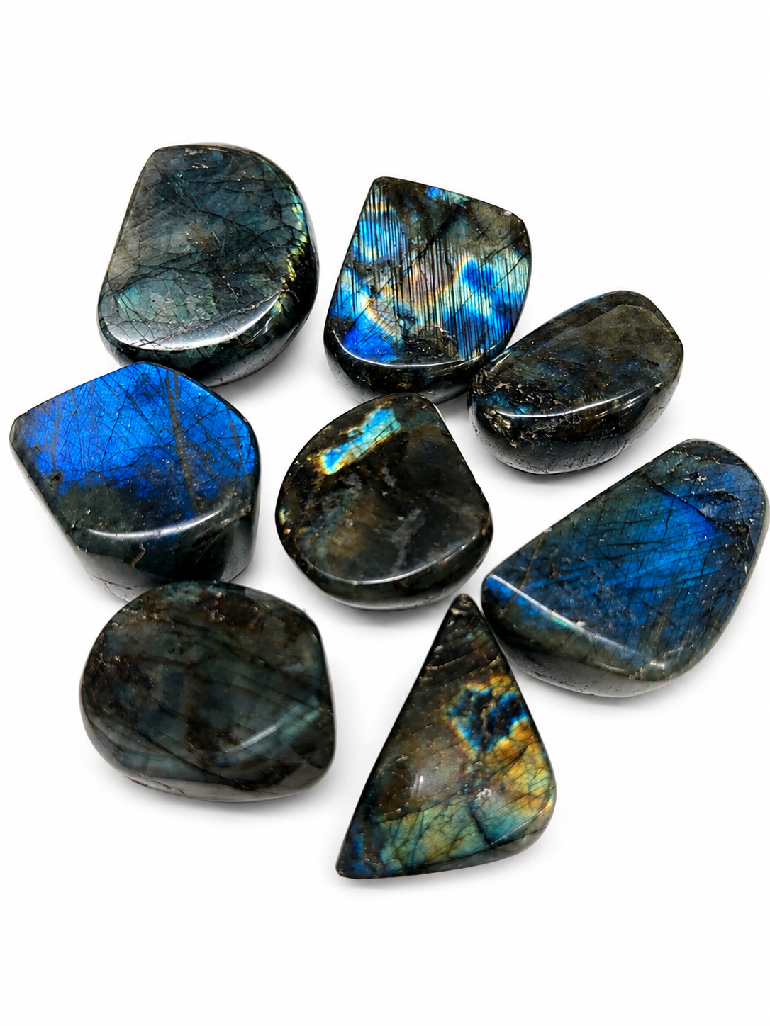 Labradorite Medium Free Forms