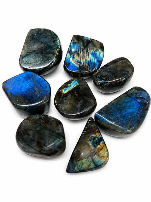 Labradorite Medium Free Forms