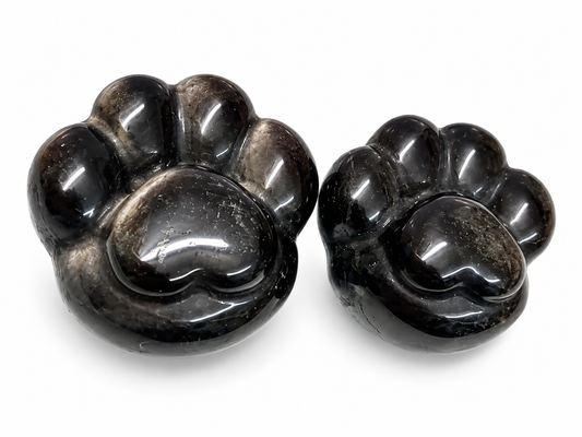 Silver Sheen Obsidian Paws