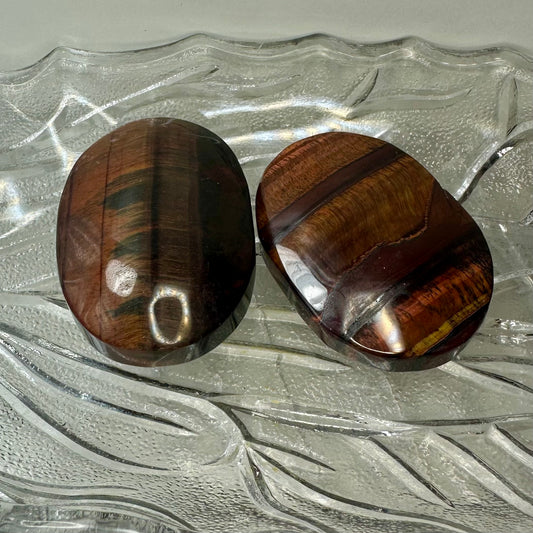 Red Tigers Eye Palms