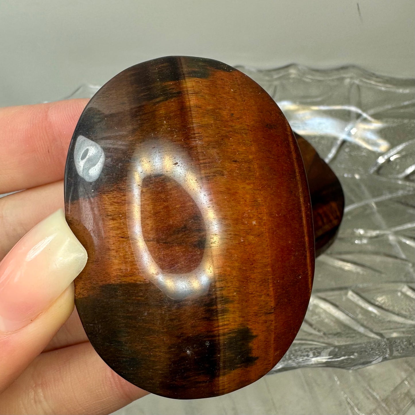 Red Tigers Eye Palms
