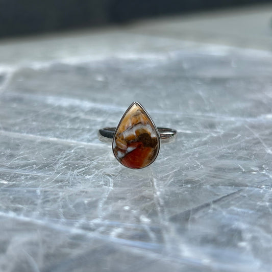 925 Oyster Turquoise Ring Size 7