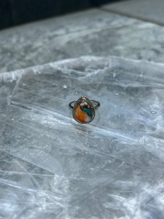 925 Oyster Turquoise Ring Size M