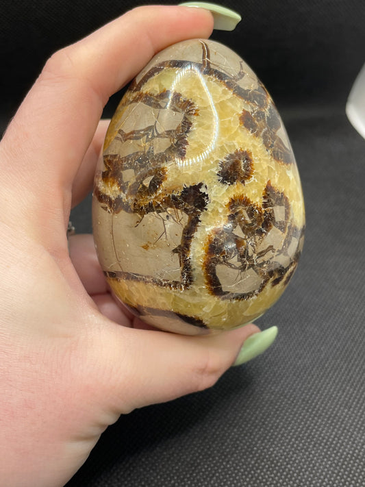 Septarian egg