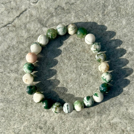 Tree Agate Bracelet 8mm