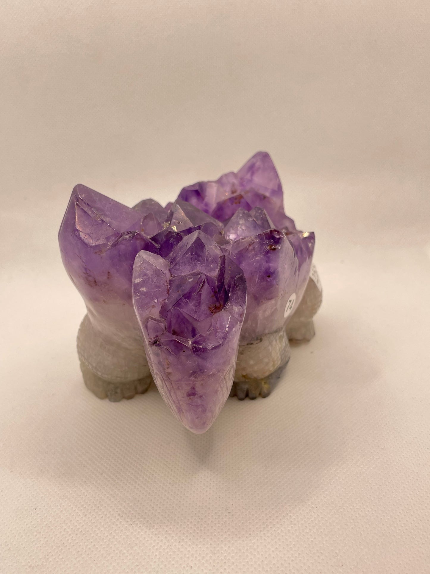 Raw Amethyst Turtle Cluster