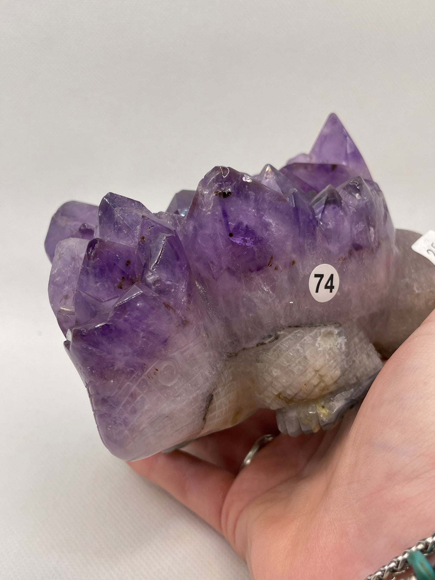 Raw Amethyst Turtle Cluster