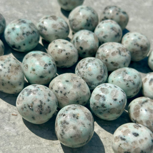 Kiwi Jasper Tumbles