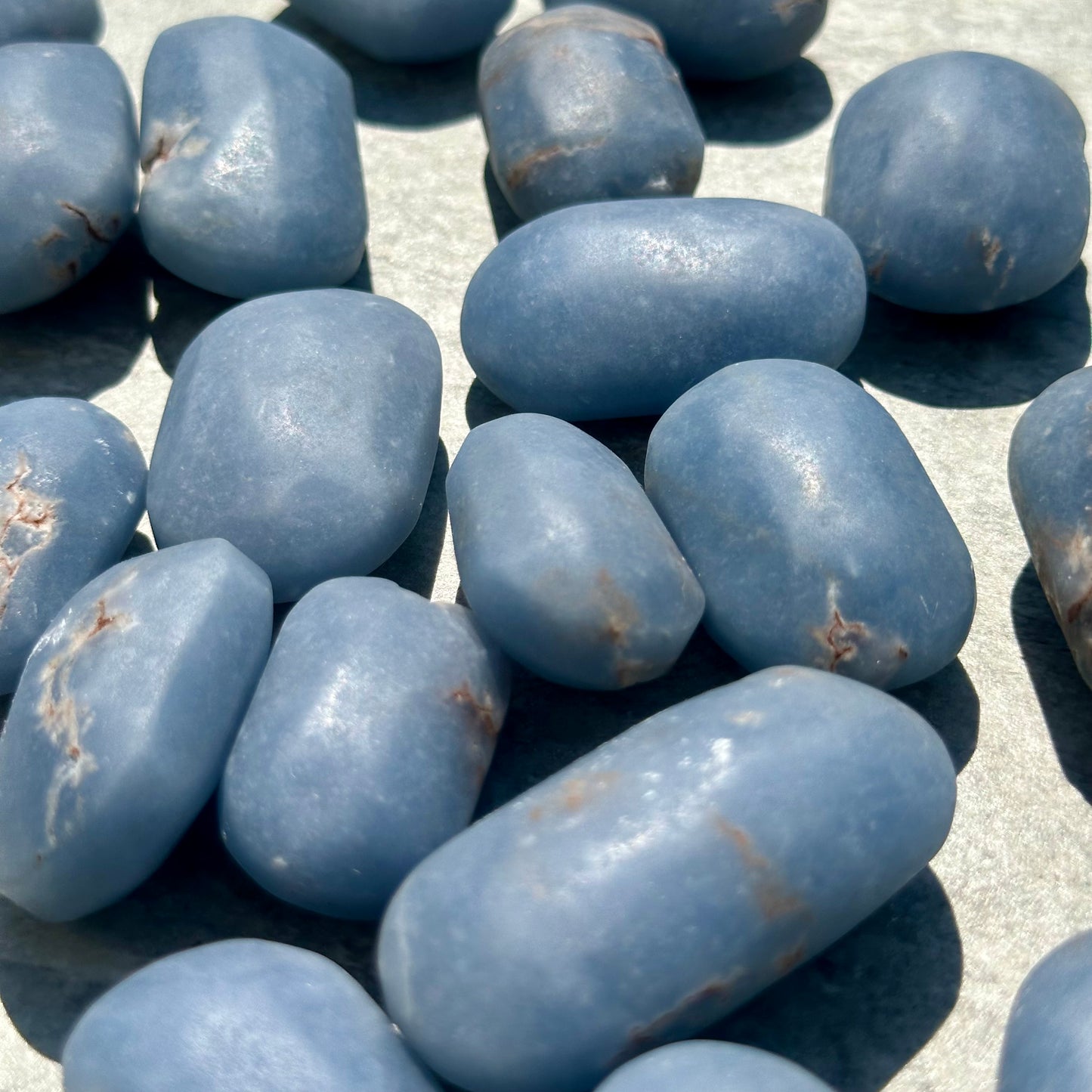Angelite Palms