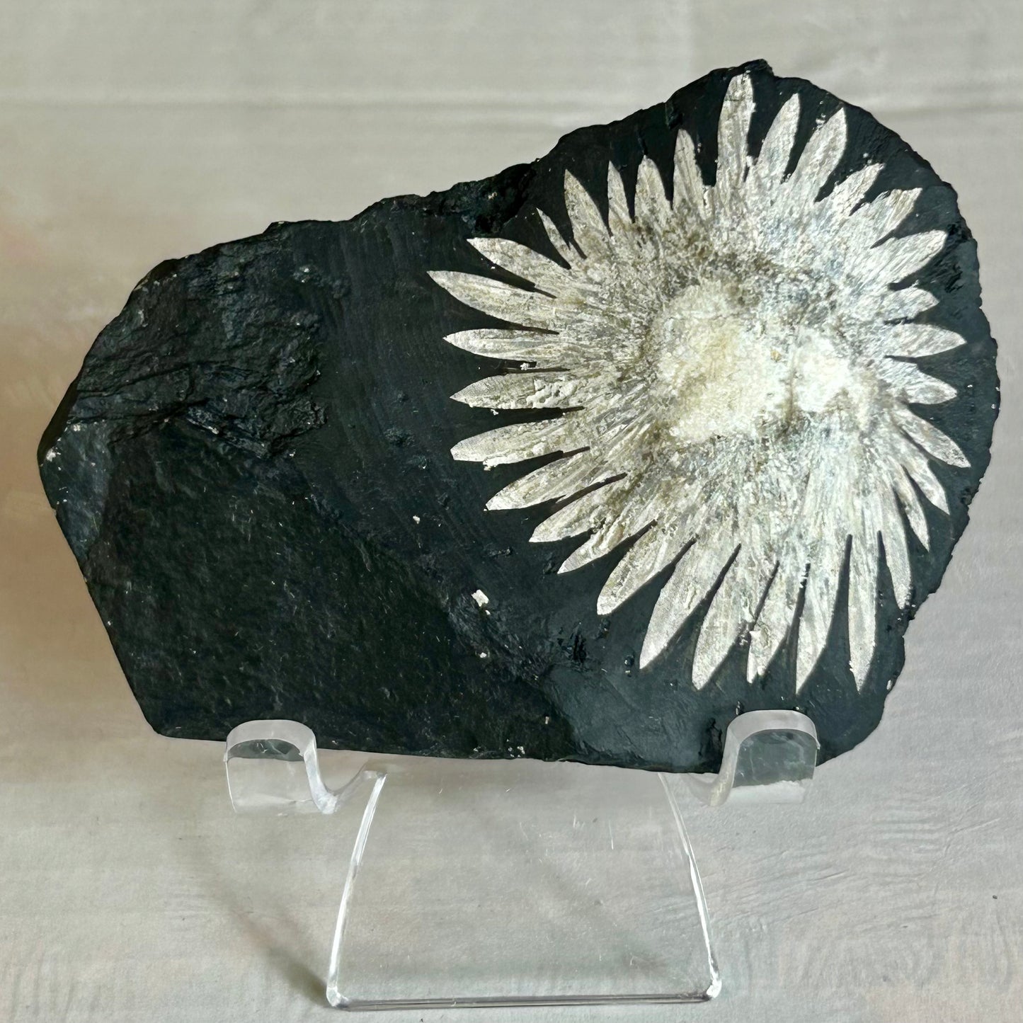 Raw Chrysanthemum Crystal