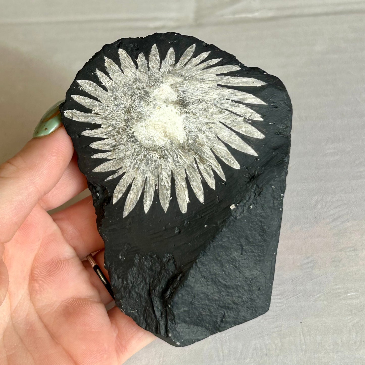 Raw Chrysanthemum Crystal