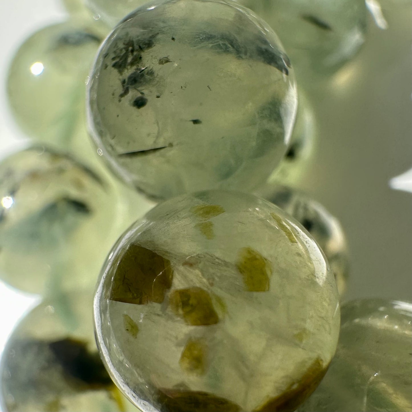 Prehnite 10mm Bracelets