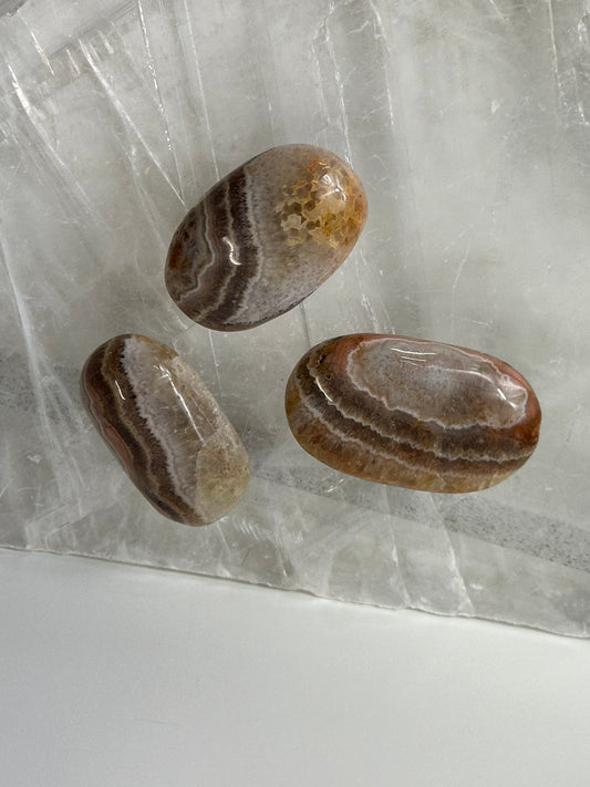 Agate Palms