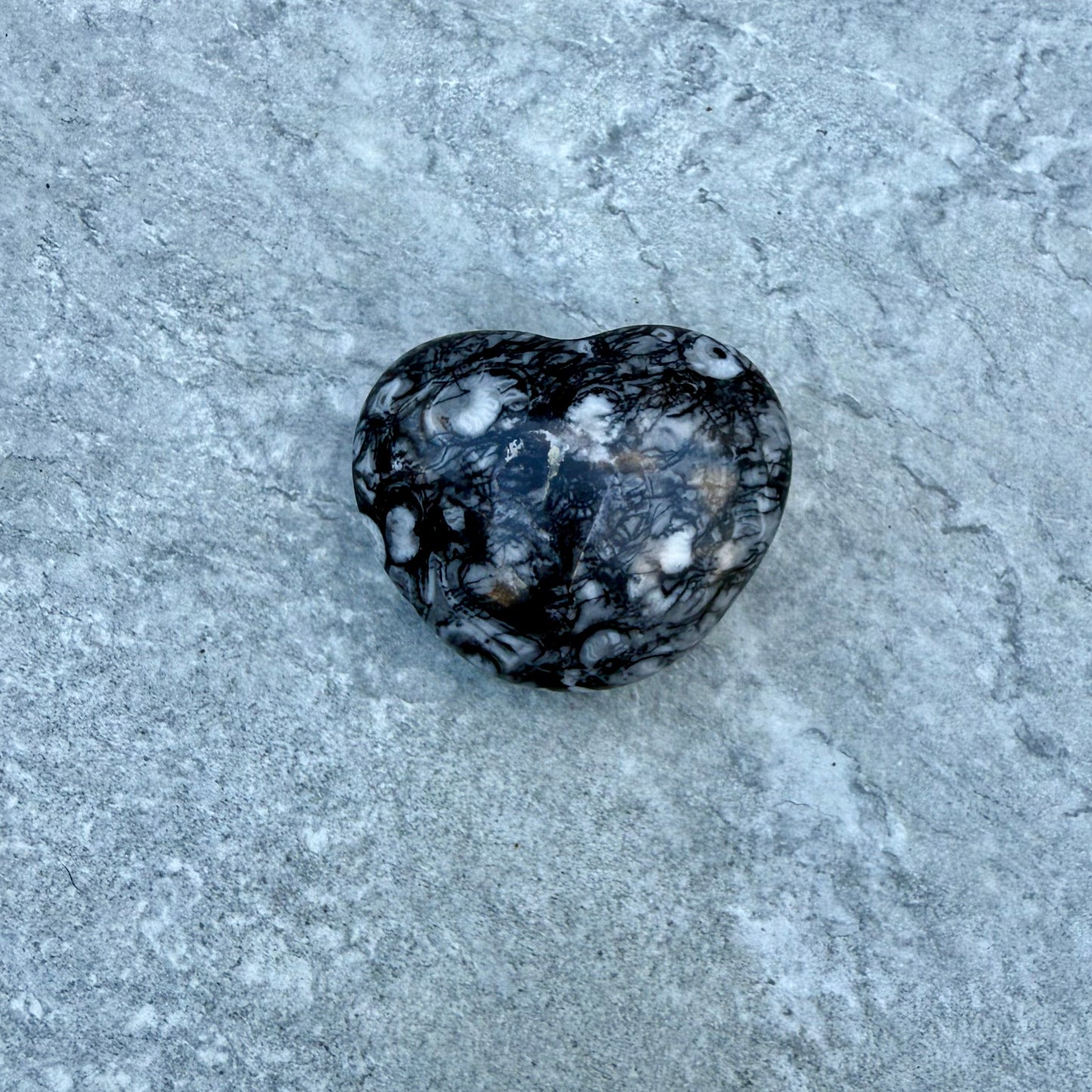 Shell Jasper Heart