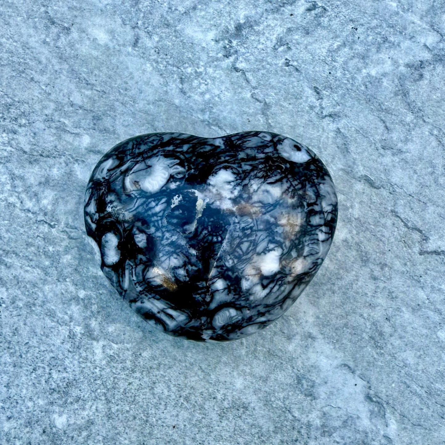 Shell Jasper Heart