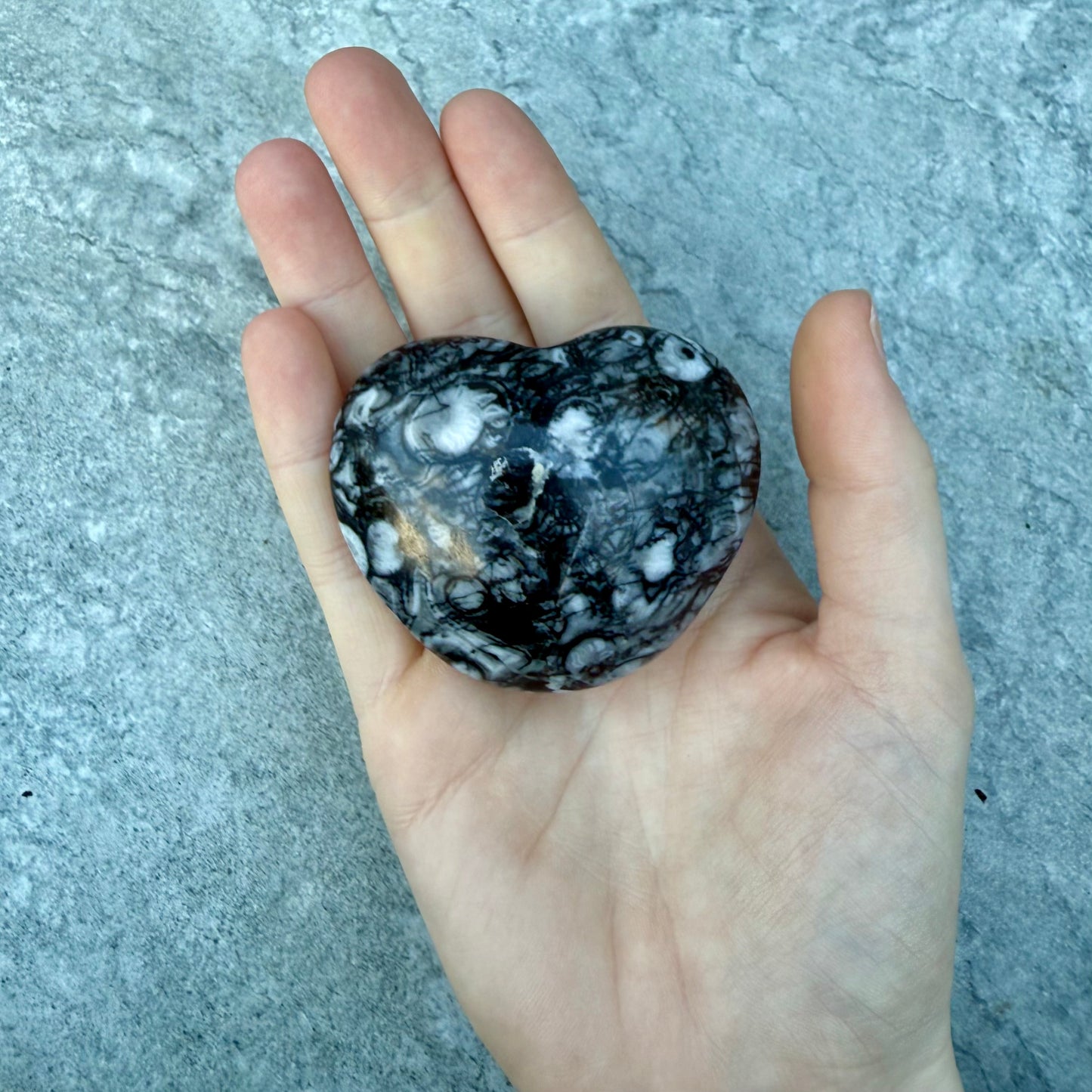 Shell Jasper Heart