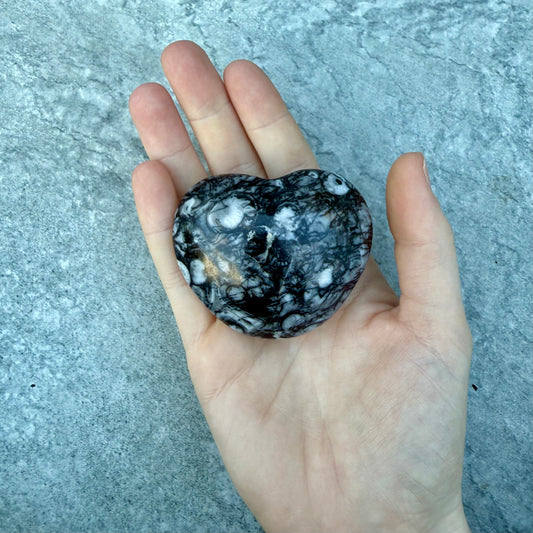 Shell Jasper Heart