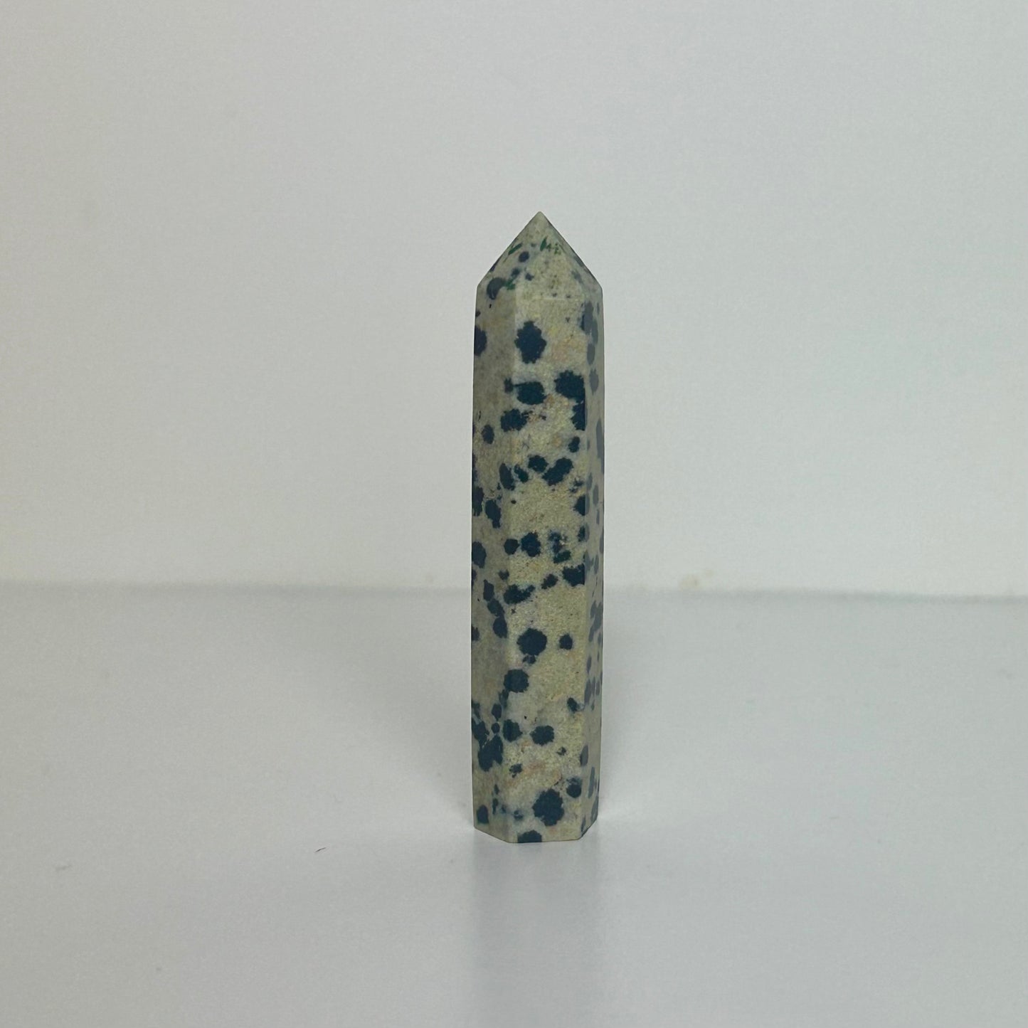 Mini Dalmatian Jasper Tower