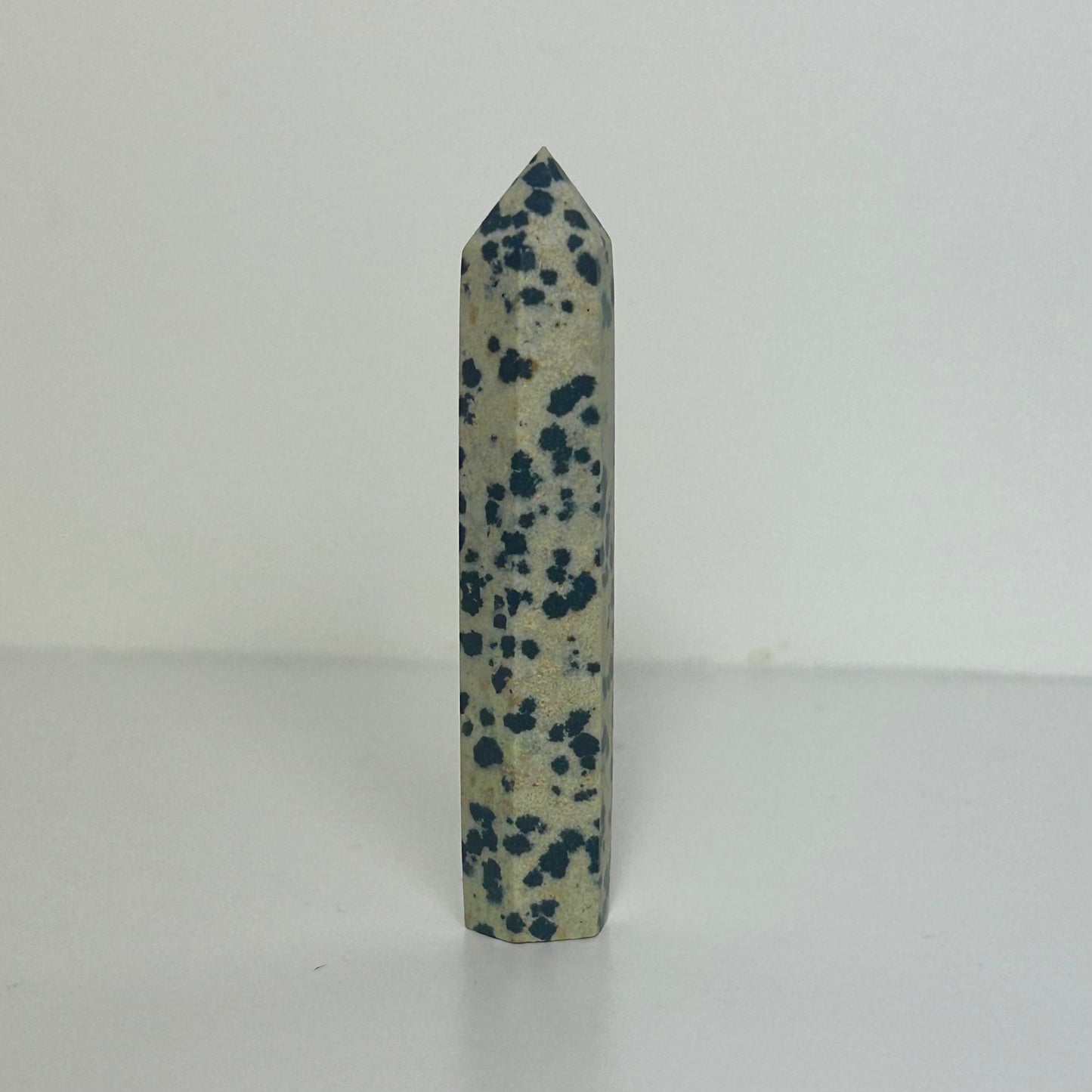 Mini Dalmatian Jasper Tower
