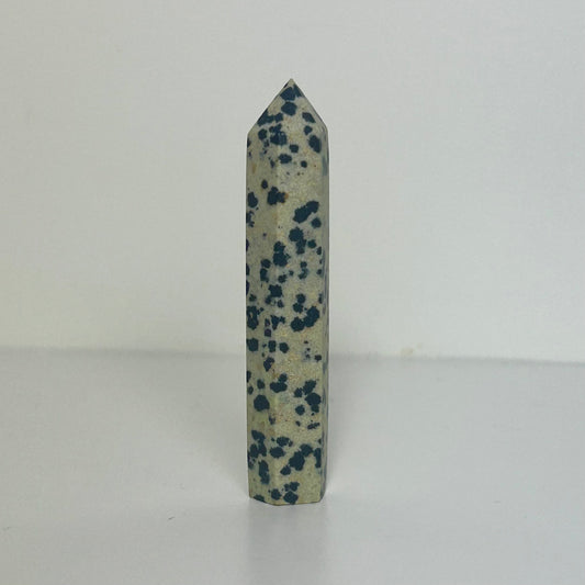 Mini Dalmatian Jasper Tower