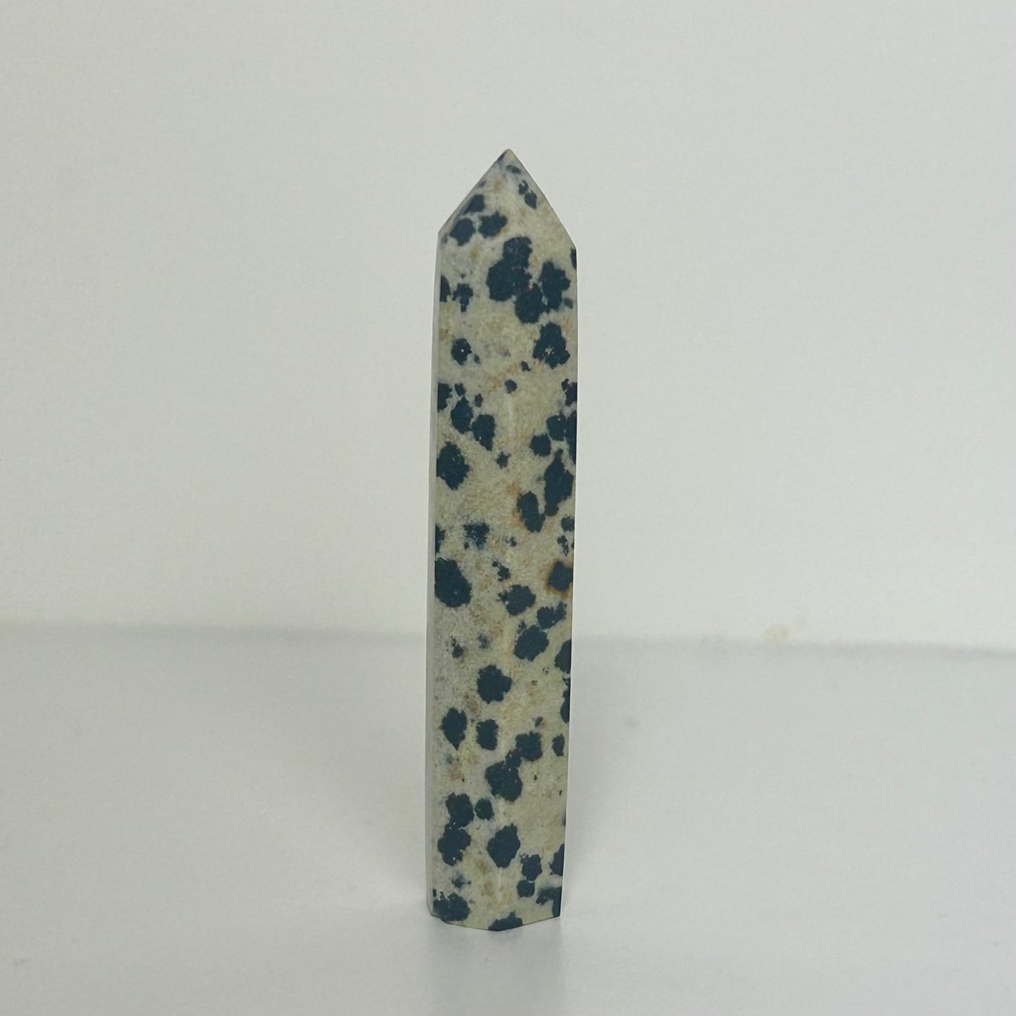 Mini Dalmatian Jasper Tower