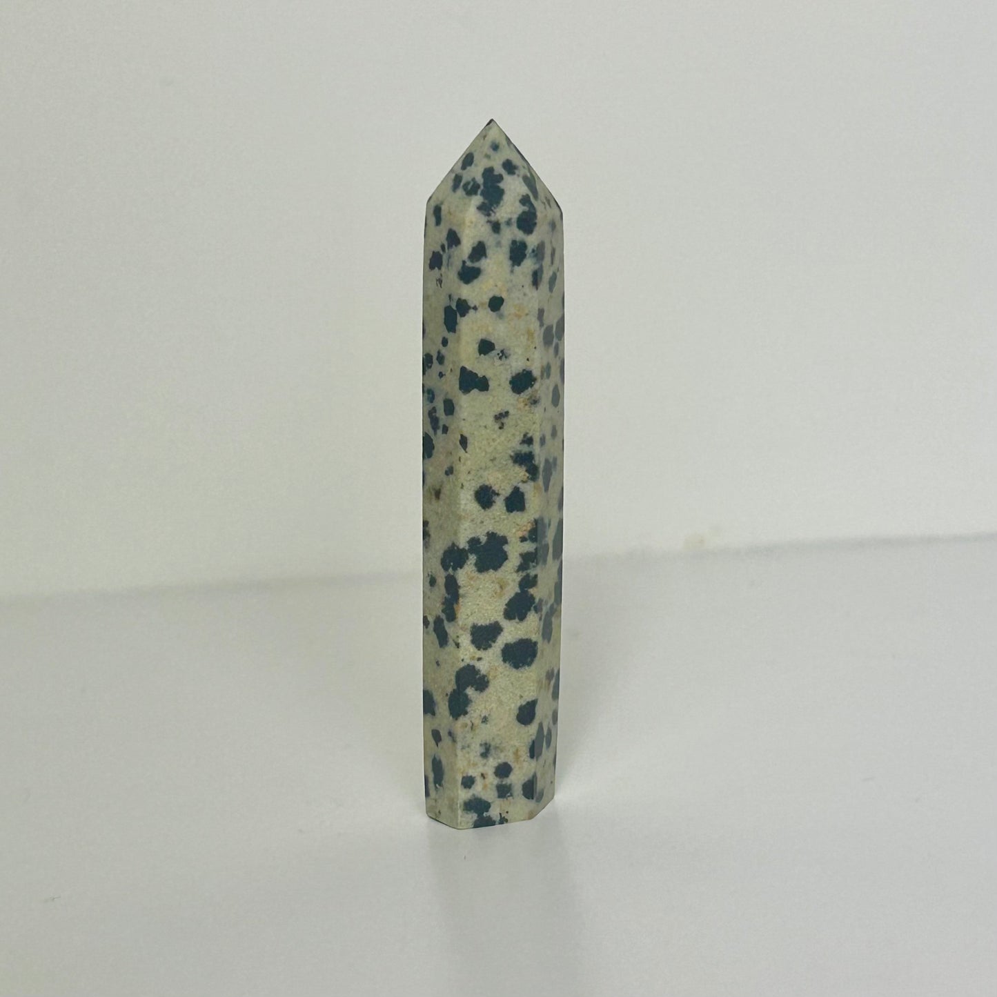 Mini Dalmatian Jasper Tower