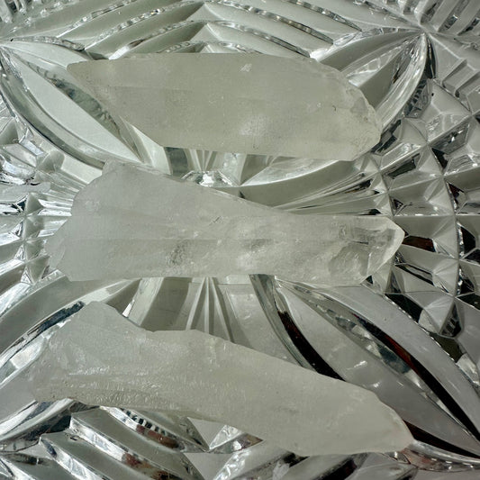 Lemurian Seed Quartz Raws