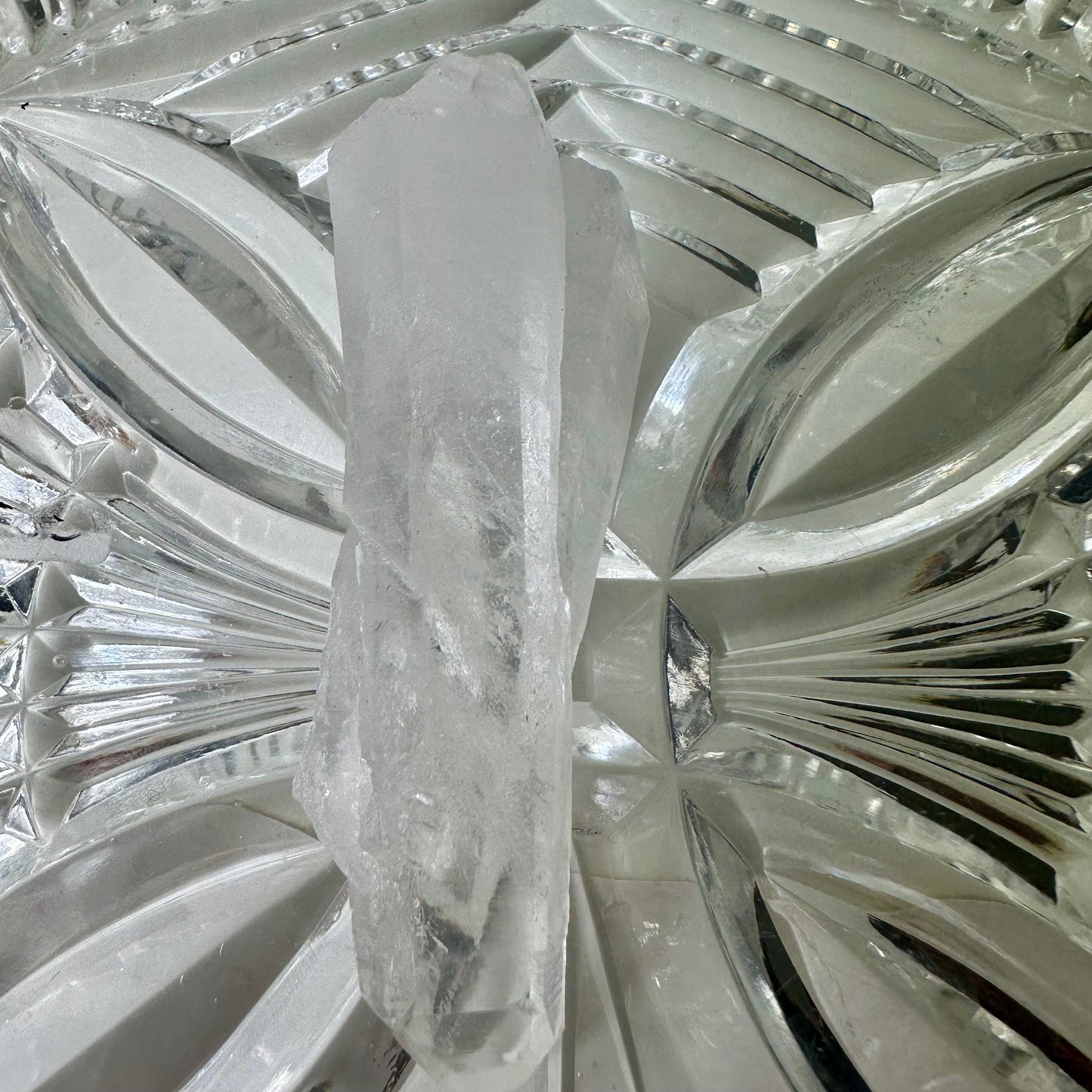 Lemurian Seed Quartz Raws