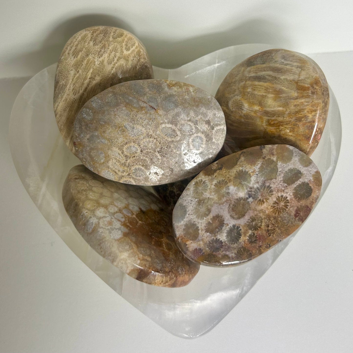 Coral Palmstone