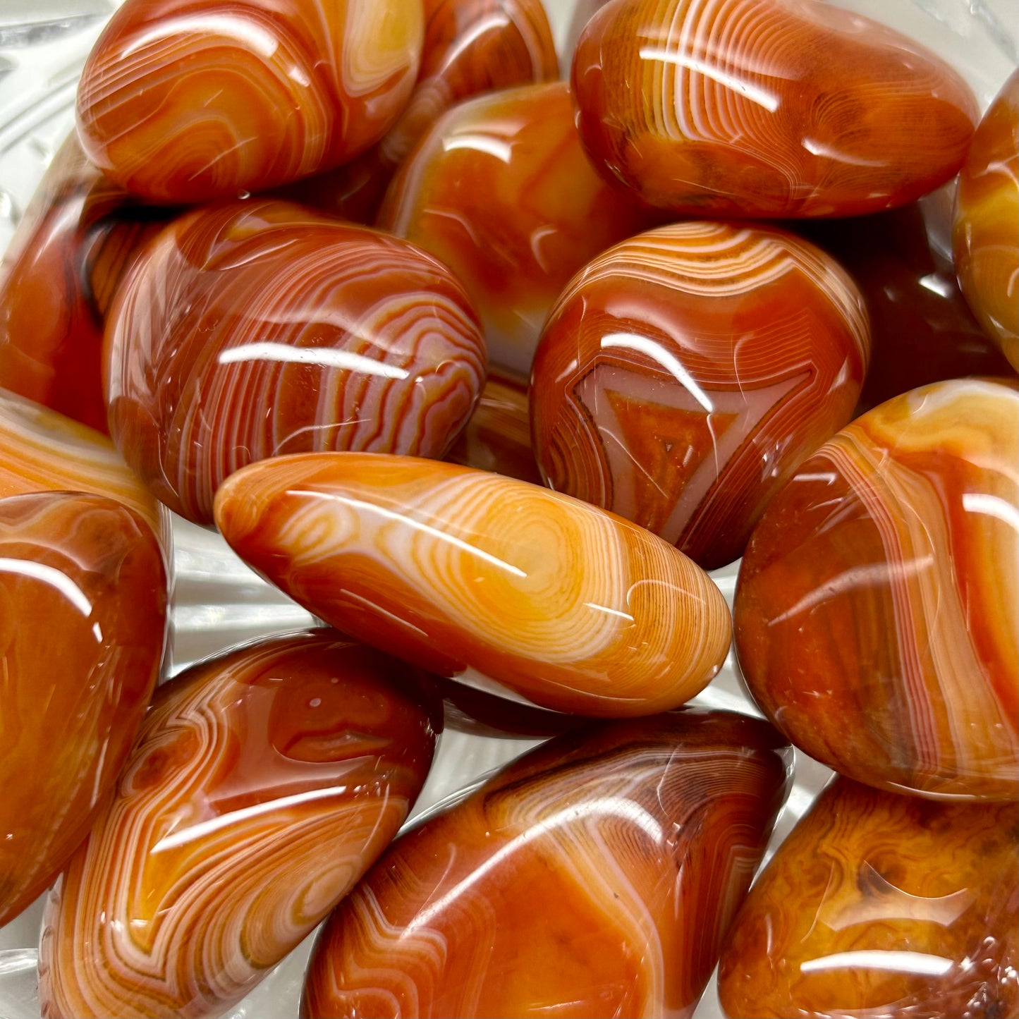 Mini Sardonyx Palms