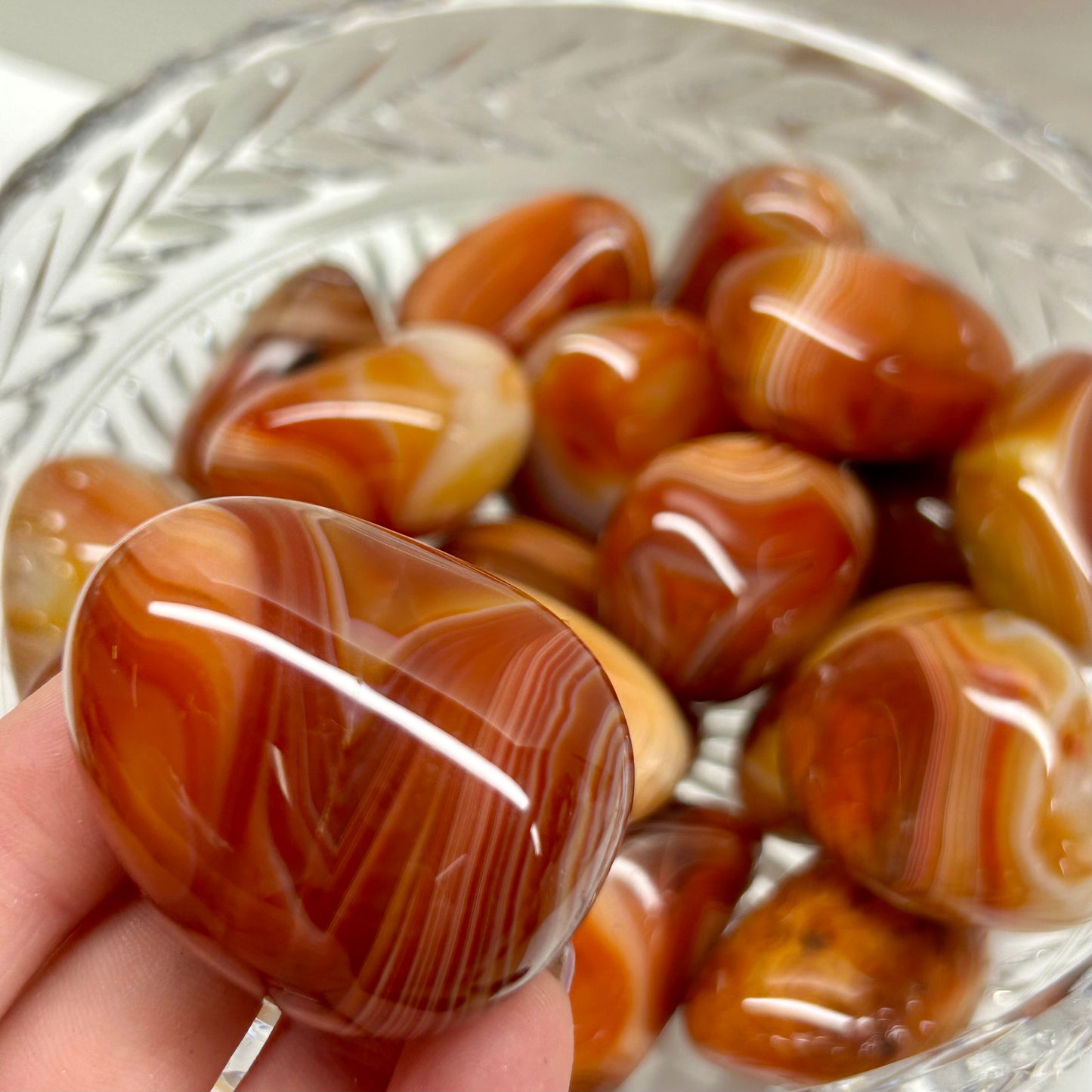 Mini Sardonyx Palms