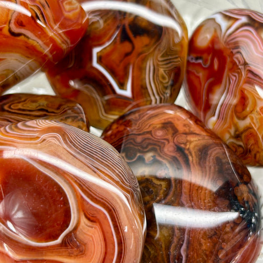 Large Sardonyx Palms