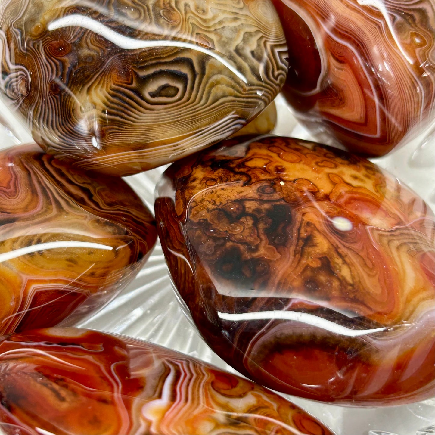 Large Sardonyx Palms